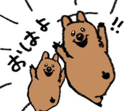 Play with Quokka! sticker #6876544