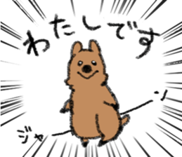 Play with Quokka! sticker #6876545