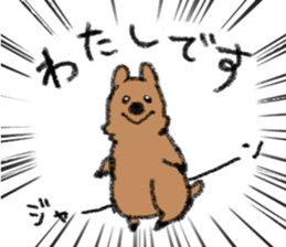 Play with Quokka! sticker #6876545