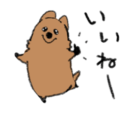 Play with Quokka! sticker #6876549