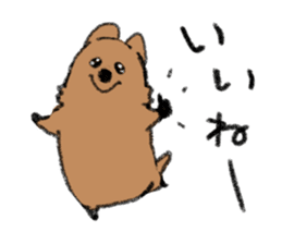 Play with Quokka! sticker #6876549