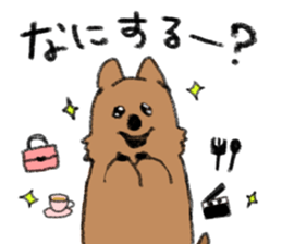 Play with Quokka! sticker #6876551