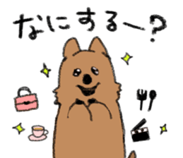 Play with Quokka! sticker #6876551
