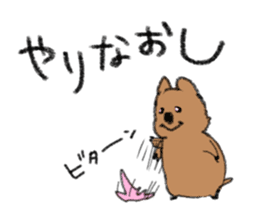 Play with Quokka! sticker #6876556