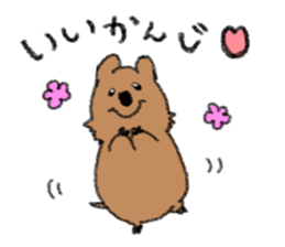 Play with Quokka! sticker #6876557
