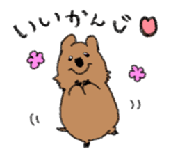 Play with Quokka! sticker #6876557