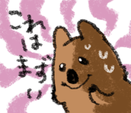 Play with Quokka! sticker #6876558