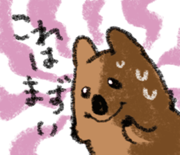 Play with Quokka! sticker #6876558