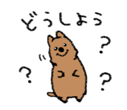 Play with Quokka! sticker #6876559
