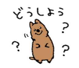 Play with Quokka! sticker #6876559