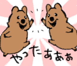 Play with Quokka! sticker #6876560