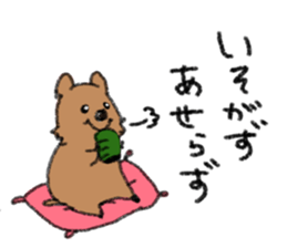 Play with Quokka! sticker #6876561