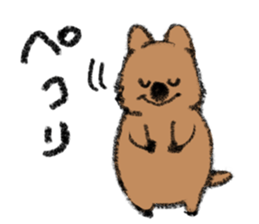 Play with Quokka! sticker #6876563