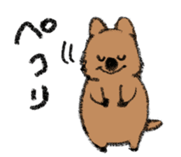 Play with Quokka! sticker #6876563