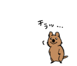 Play with Quokka! sticker #6876564