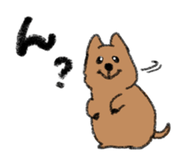 Play with Quokka! sticker #6876567