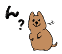 Play with Quokka! sticker #6876567