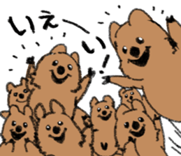 Play with Quokka! sticker #6876568