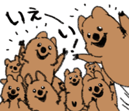 Play with Quokka! sticker #6876568