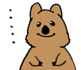Play with Quokka! sticker #6876569