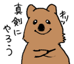 Play with Quokka! sticker #6876570