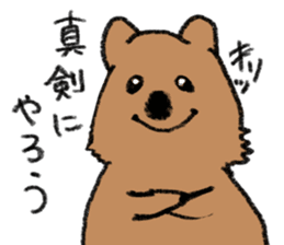 Play with Quokka! sticker #6876570