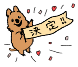 Play with Quokka! sticker #6876571