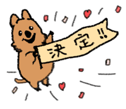 Play with Quokka! sticker #6876571