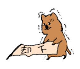 Play with Quokka! sticker #6876572