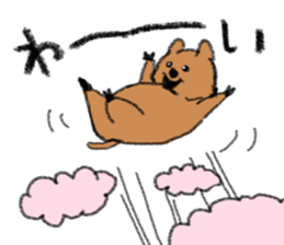 Play with Quokka! sticker #6876573
