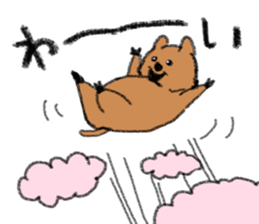 Play with Quokka! sticker #6876573
