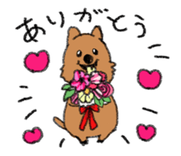 Play with Quokka! sticker #6876574