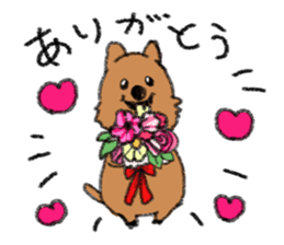 Play with Quokka! sticker #6876574