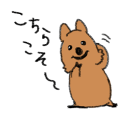 Play with Quokka! sticker #6876575