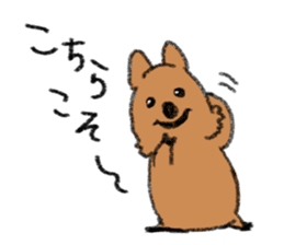 Play with Quokka! sticker #6876575
