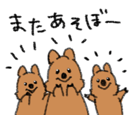 Play with Quokka! sticker #6876576