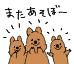 Play with Quokka! sticker #6876576