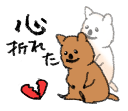 Play with Quokka! sticker #6876577