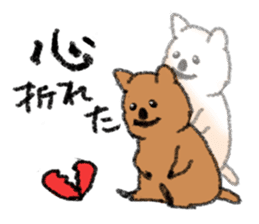 Play with Quokka! sticker #6876577