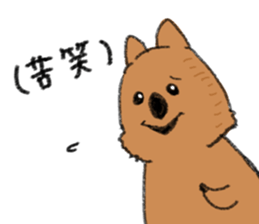 Play with Quokka! sticker #6876579