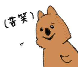 Play with Quokka! sticker #6876579