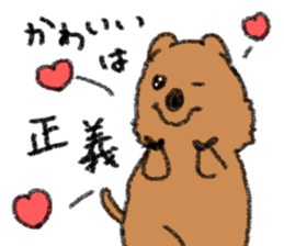 Play with Quokka! sticker #6876581