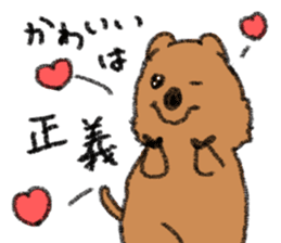 Play with Quokka! sticker #6876581