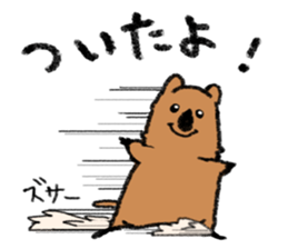 Play with Quokka! sticker #6876583