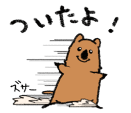 Play with Quokka! sticker #6876583