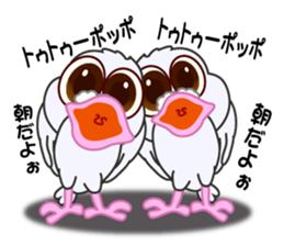 deserted pigeon1 sticker #6880116