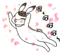 Crazy Rabbit M.M sticker #6881187