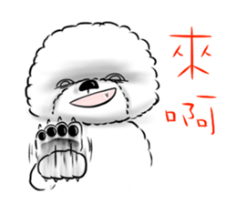 Everything about Bichon Frise "Noobie" sticker #6883427