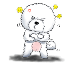 Everything about Bichon Frise "Noobie" sticker #6883431