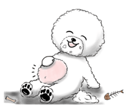 Everything about Bichon Frise "Noobie" sticker #6883432